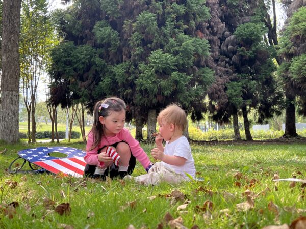 Cornhole Board Set with bean bags - 图片 7